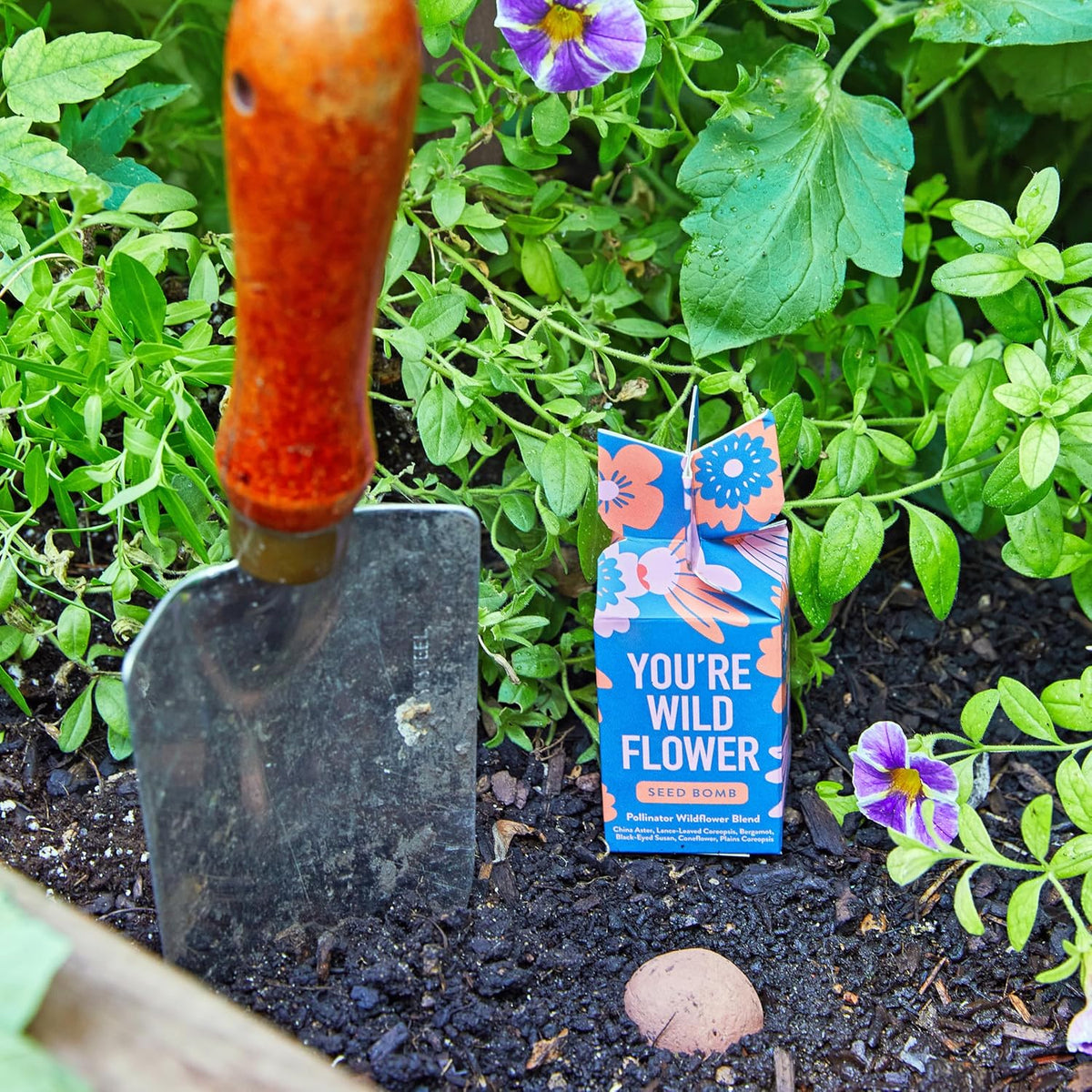 Modern Sprout Seed Bombs - Organic Wildflower & Herbs Seeds for Indoor/Outdoor Gardening - Party