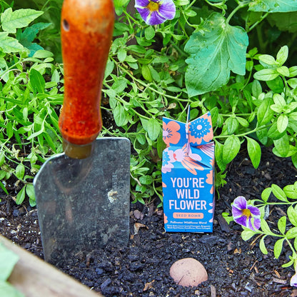 Modern Sprout Seed Bombs - Organic Wildflower & Herbs Seeds for Indoor/Outdoor Gardening - Party