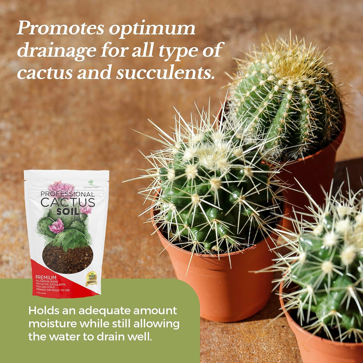 Professional Cactus Soil | Large 2.2 Quarts Ready to Use for Cactus Plants | Peat Moss, Coco Coir