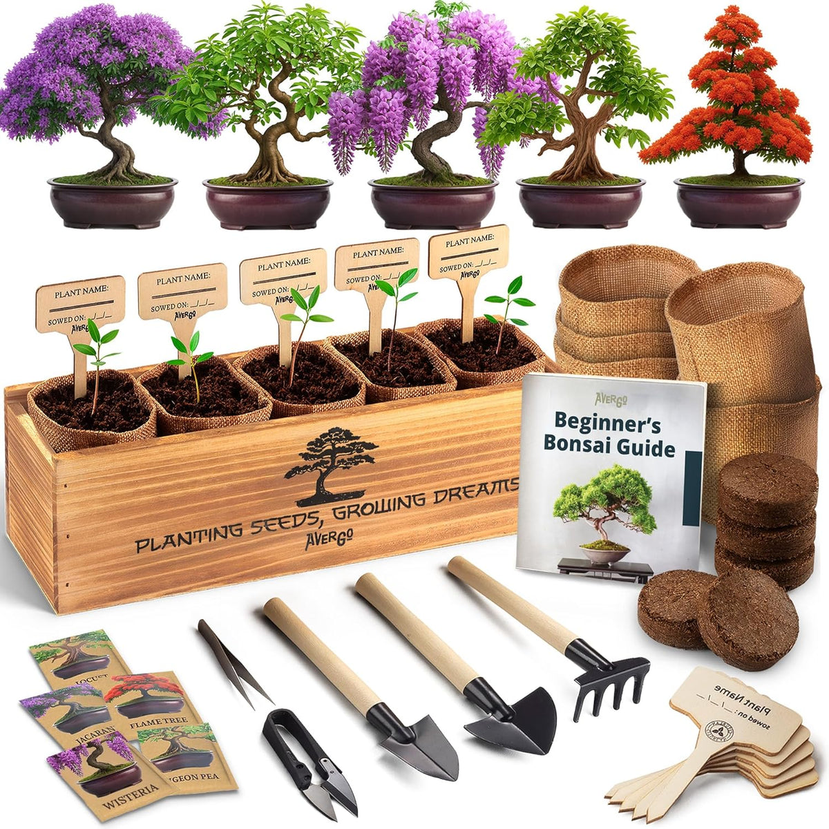 AVERGO Bonsai Tree Kit for Beginners – 5X Unique Japanese Bonzai Trees | Complete Indoor Starter