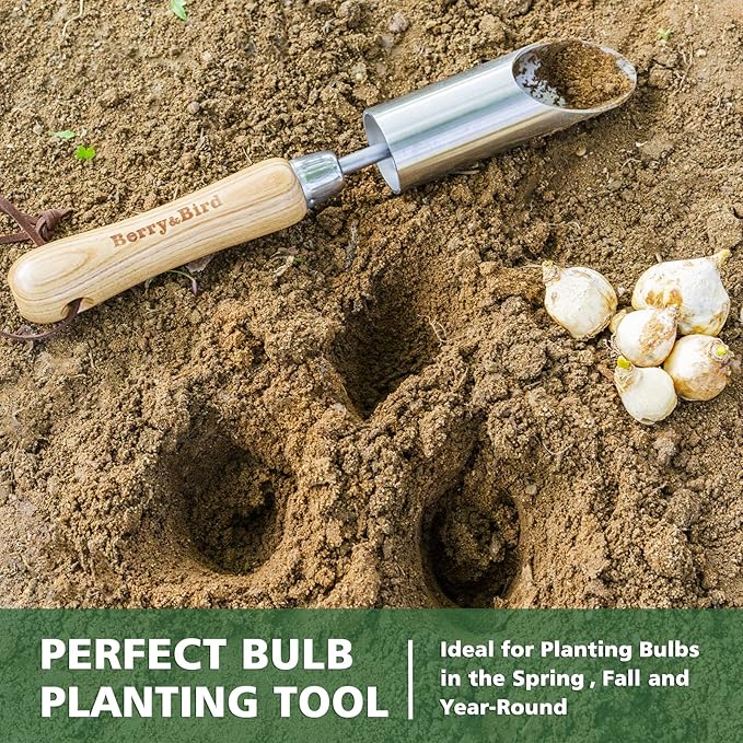 Berry&Bird Bulb Planter Tool, 12" Garden Bulb Transplanter Tool, Stainless Steel Manual Hole Digger