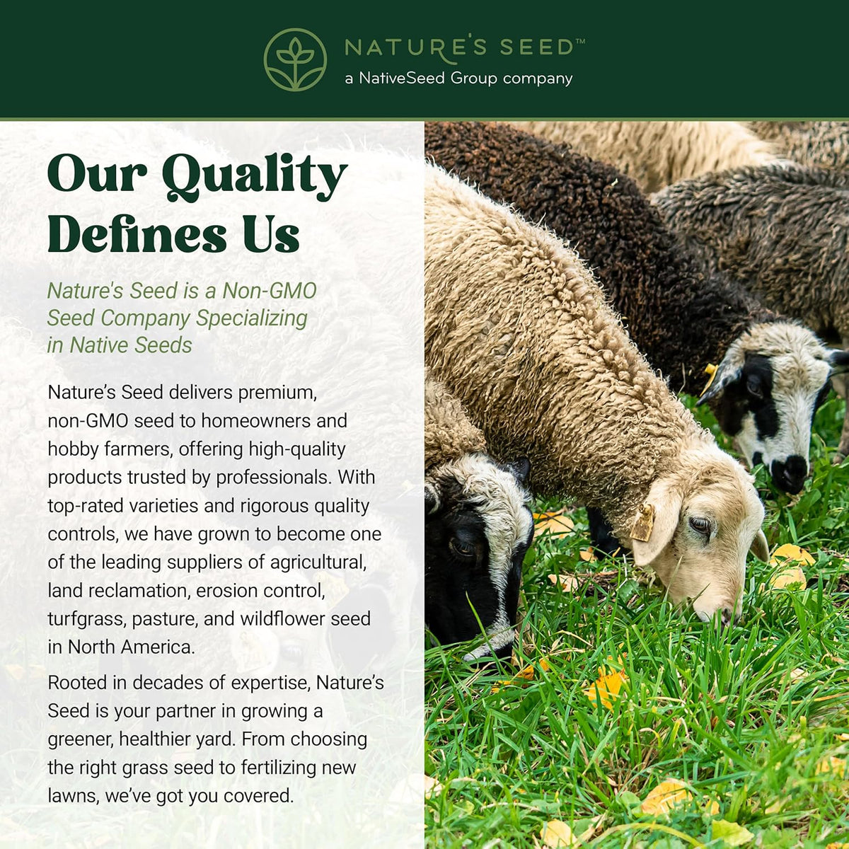 Nature's Seed Northern Sheep Forage Mix, Cattle Pasture Grass Seed Cool-Season Blend