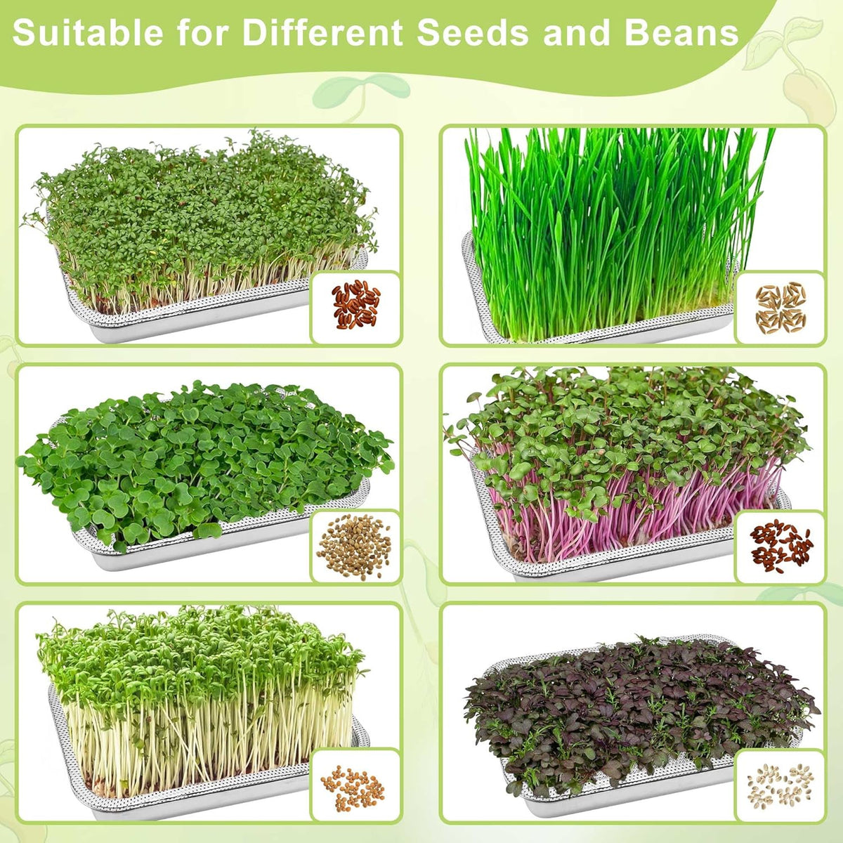 Stainless Steel Sprouts Growing Kit 2-Tier 12.4 inch Trays, Microgreens Growing Kit, Seed Sprouting