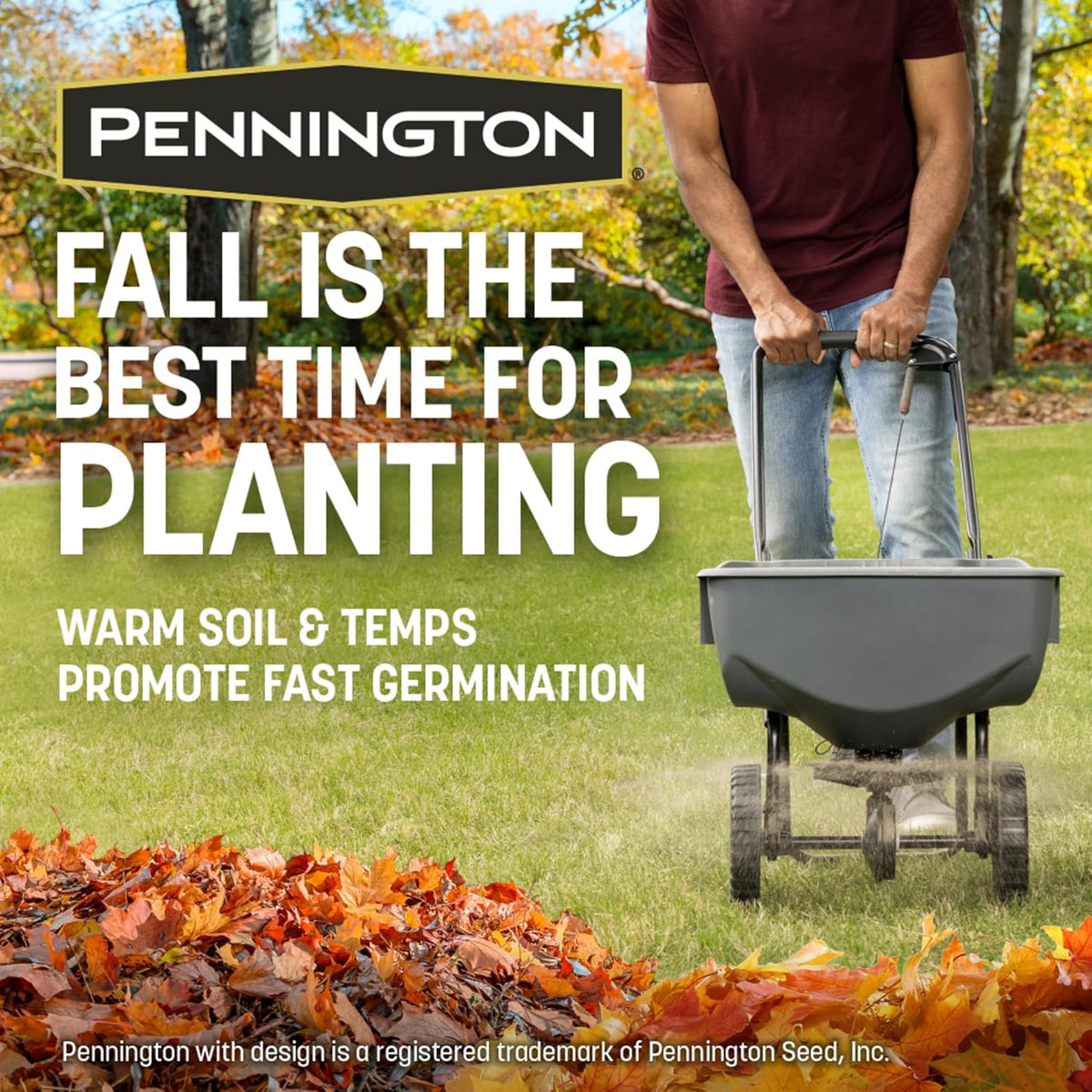 Pennington Kentucky 31 Tall Fescue Grass Seed 20 lb