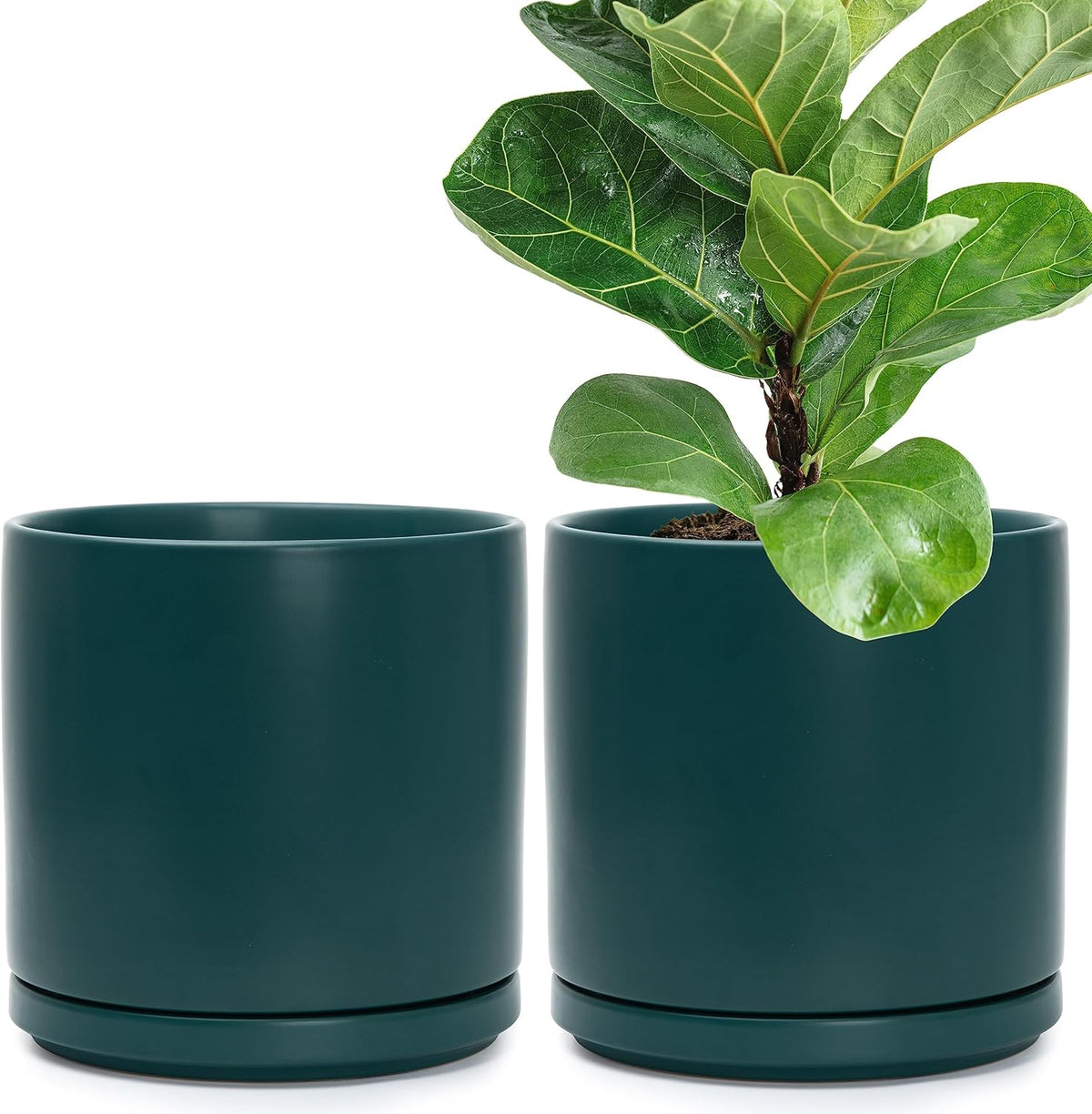 D'vine Dev Set of 2 Plants Pots, 10 Inch Ceramic Planter Pot for Plants with Drainage Hole and