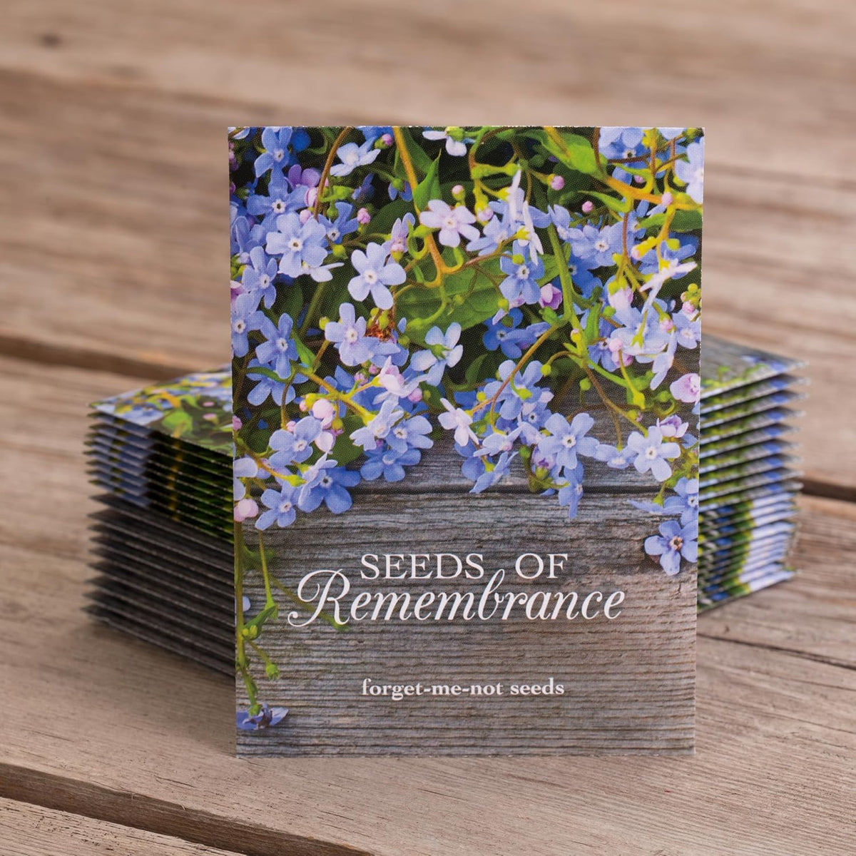 Bentley Seed Co. | Seeds of Remembrance | Pre Filled Non-GMO, Non-Coated Forget Me Not Seeds