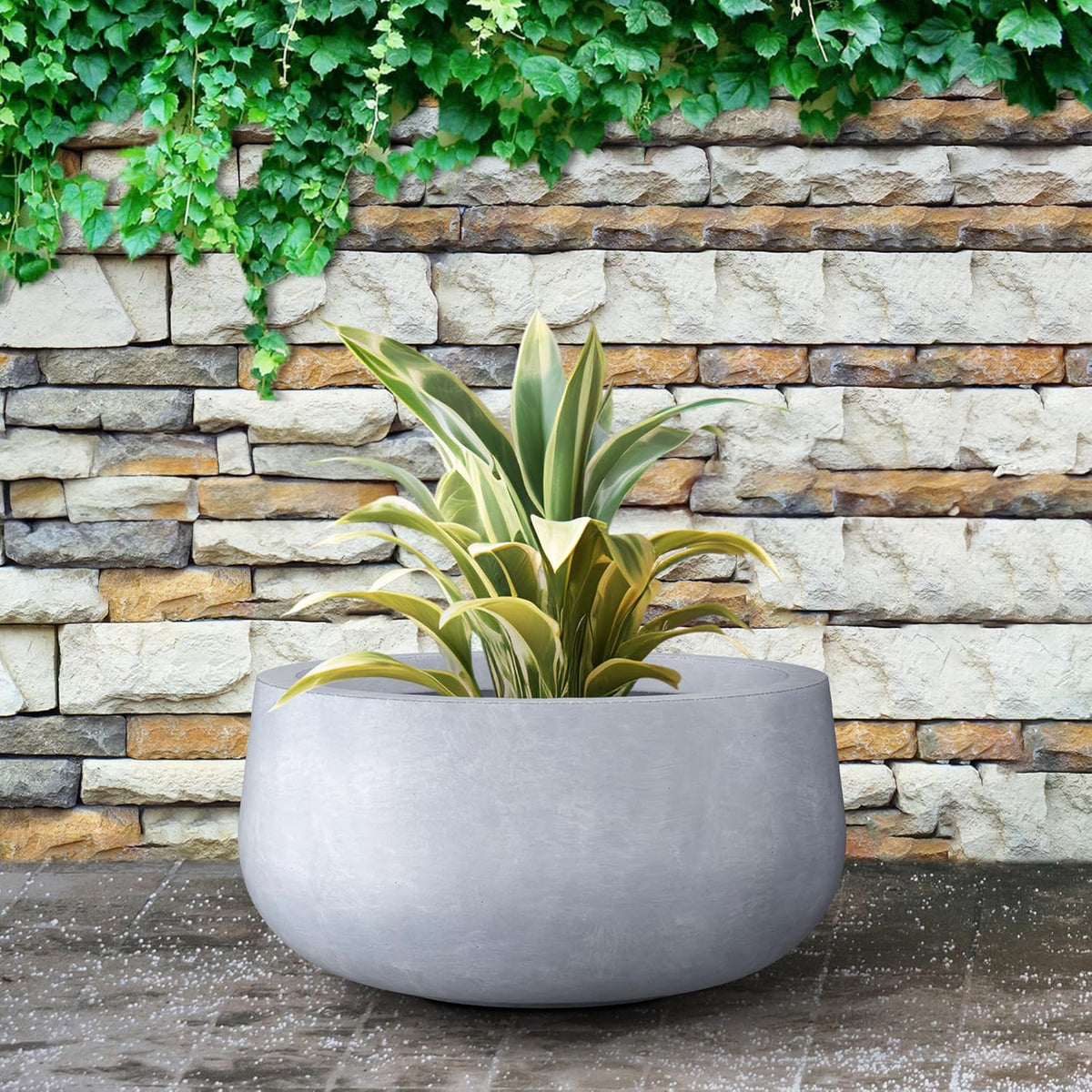 Kante 15.7" Dia Round Concrete Planter, Outdoor Indoor Garden Plant Pots with Drainage Hole and