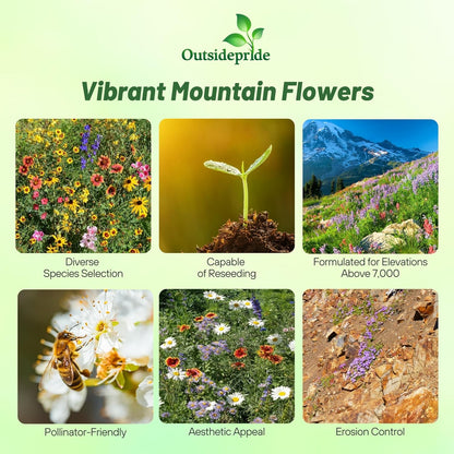 Outsidepride Mountain Wild Flower Seed Mix - 1/4 lb Premium Blend of Annual & Perennial Wildflower