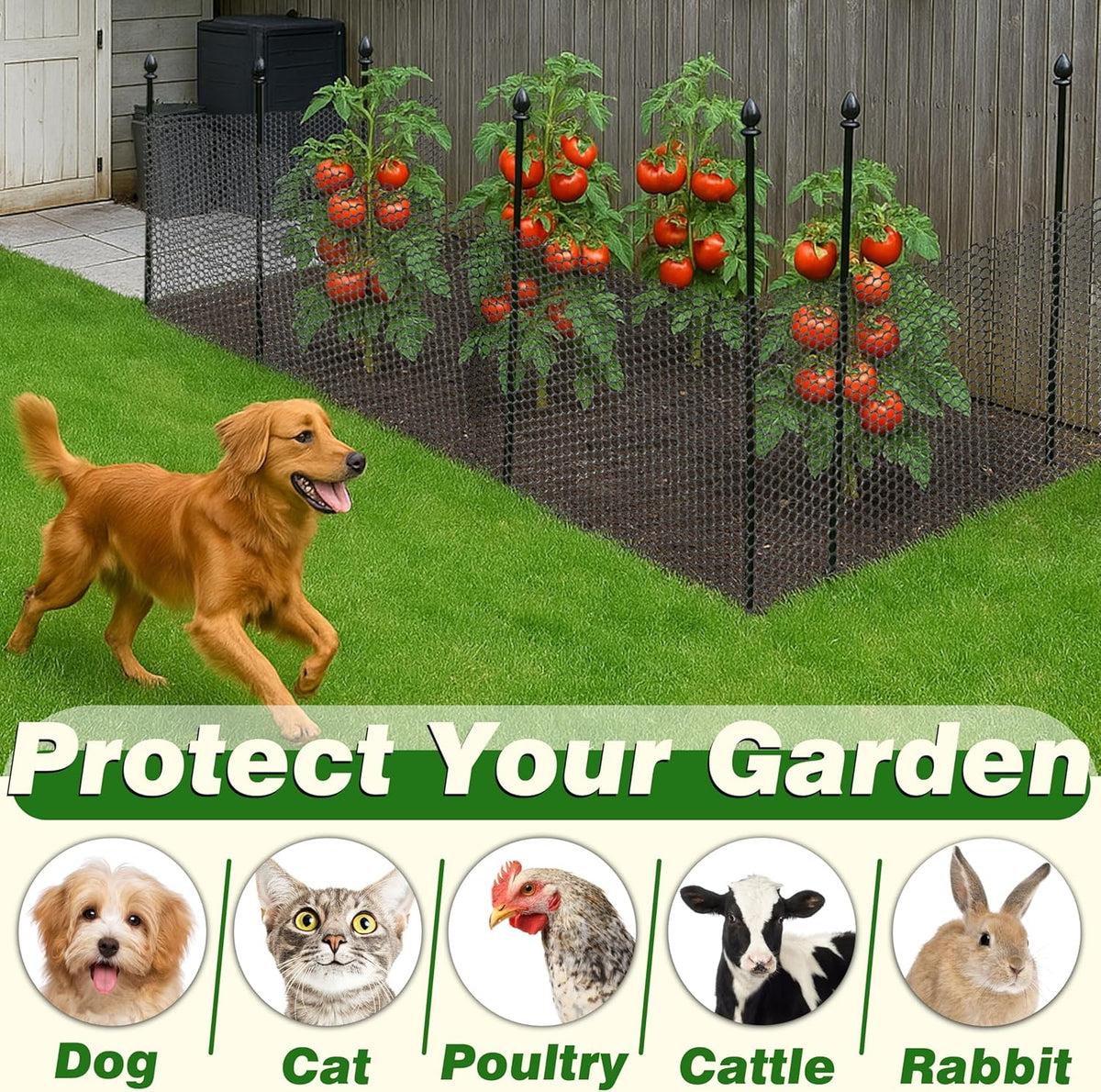 Gardzen Plastic Chicken Wire Mesh with 70 pcs Ties, 16in x 33ft Durable Chicken Fence for Poultry