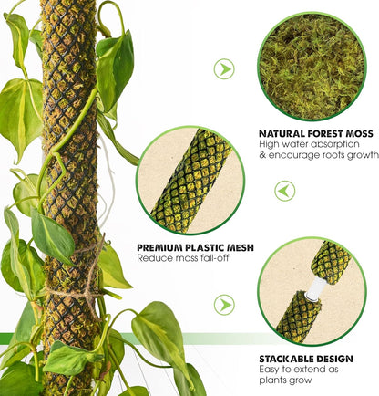 DUSPRO Stackable Mesh Moss Pole for Plants Monstera Potted Plant Stakes for Indoor Plants