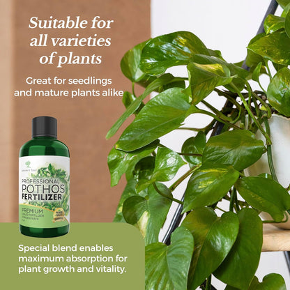 Professional Liquid Pothos Plant Fertilizer | 3-1-2 Concentrate for Epipremnums and Houseplants |