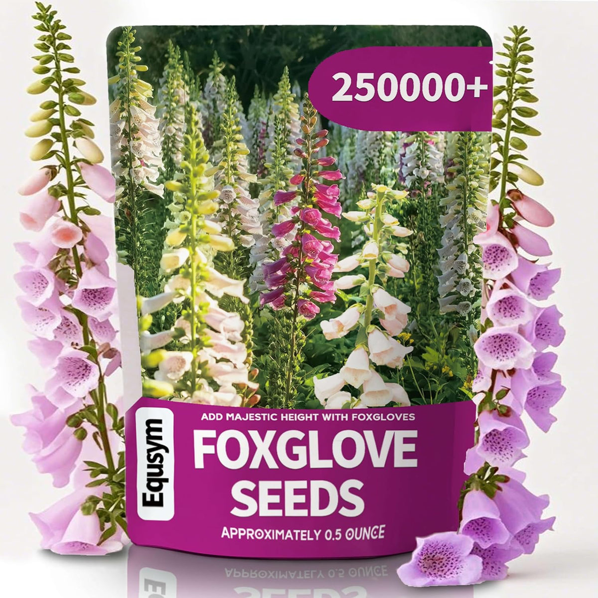 Foxglove Seeds 250,000+ Bulk Pack - Tall Spire Blooms, Mixed Colors for Garden Borders, Easy