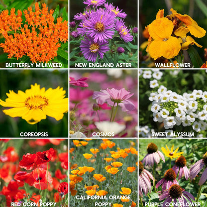 Wildflower Seeds Bulk, 2 Oz. 80,000+ Seeds – Save The Bees Mix with 19 Non-GMO Varieties – Bee