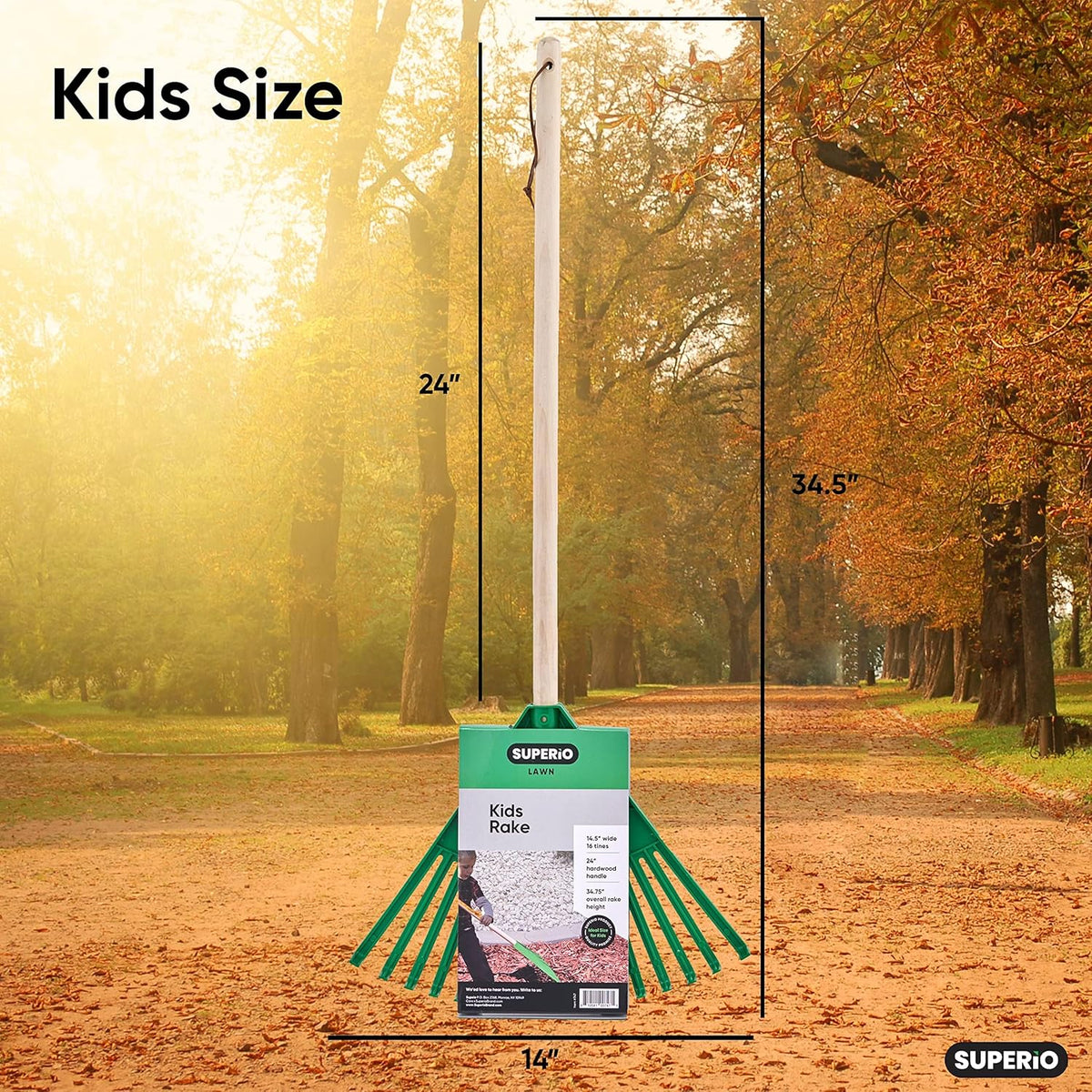 Superio Kids Rake with Hardwood Handle, Gardening and Lawn Care Tools for Kids, Sweep Leaves and
