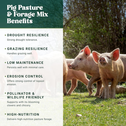 Nature’s Seed Pig Forage Mix, Pasture Grass Seed Blend, Wildlife Food Plot for Deer, Elk and More