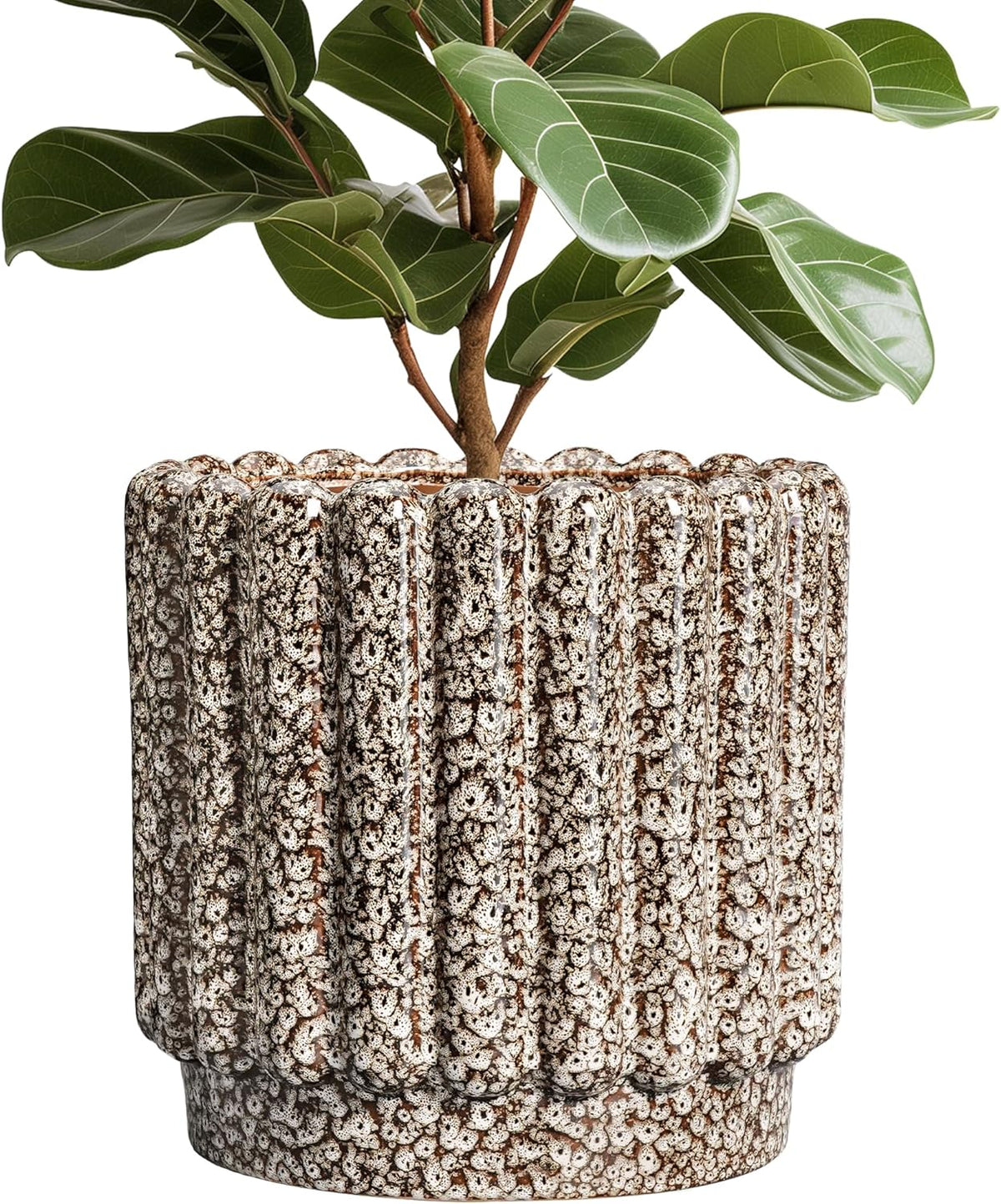 Ceramic Pots for Plants - 12 Inch Planter for Indoor Plants, Round Flower Pots with Drainage Hole