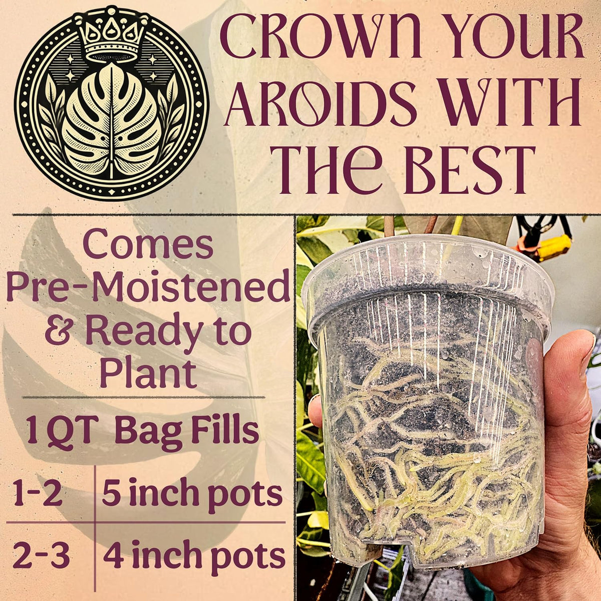 Craft Aroid Potting Mix- Elite Organic Alocasia, Philodendron, Monstera Soil Mix, Chunky, Well