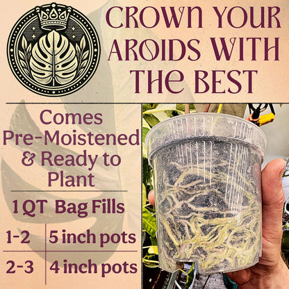 Craft Aroid Potting Mix- Elite Organic Alocasia, Philodendron, Monstera Soil Mix, Chunky, Well