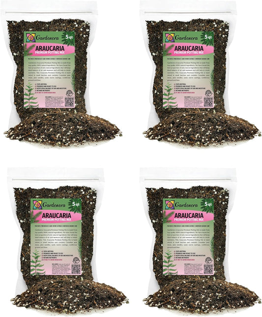 GARDENERA Premium Araucaria Potting Soil Mix - Perfect Balance of Nutrients, Drainage, and Aeration