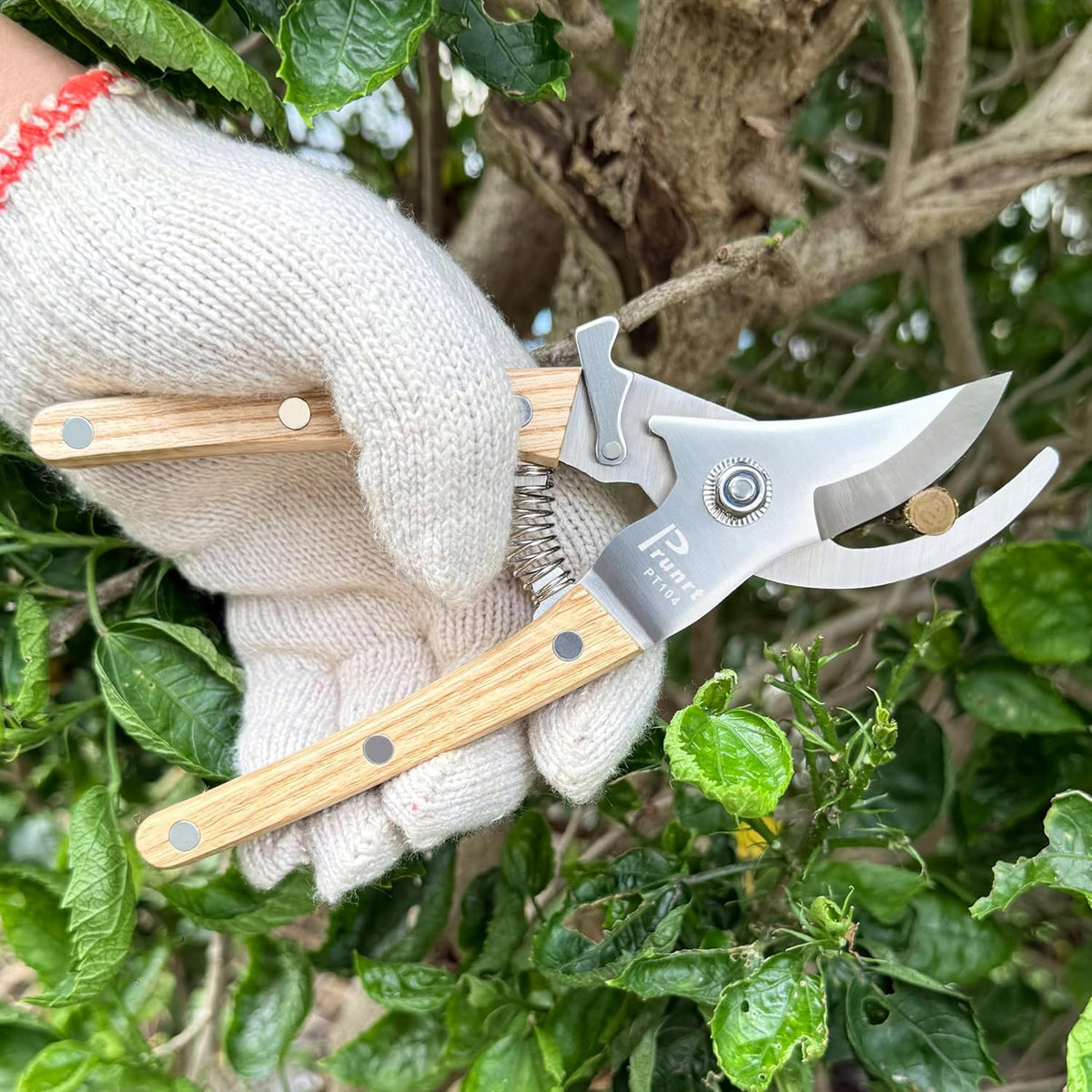 Pruning Shears, 7.5 Inch Garden Shears with 5/8 Inch Cut Capacity, Wood Clip Steel Handle