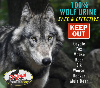 PredatorPee 100% Wolf Urine - Territorial Marking Scent - Creates Illusion That Wolf is Nearby