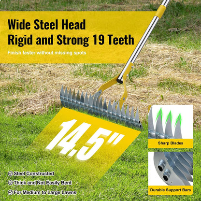 Garden Leaf Rake: Dual Function Thatching Rake for Lawn Dead Grass Leaves, Stainless Steel Heavy