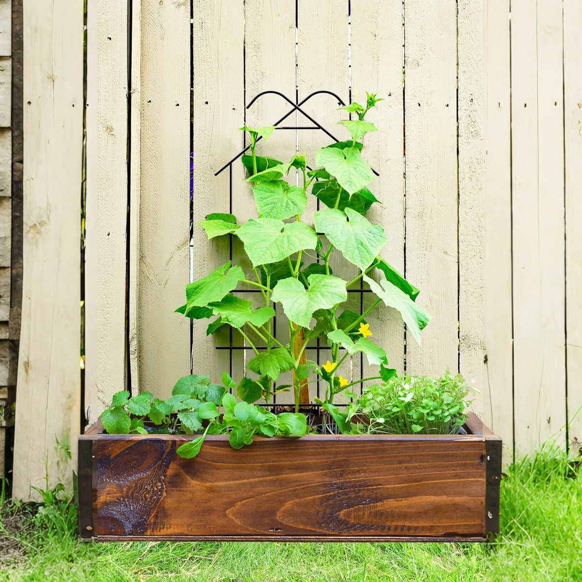 ARIFARO 40'' Metal Garden Trellis Indoor/Outdoor Sturdy Plant Trellis for Potted Plants,House