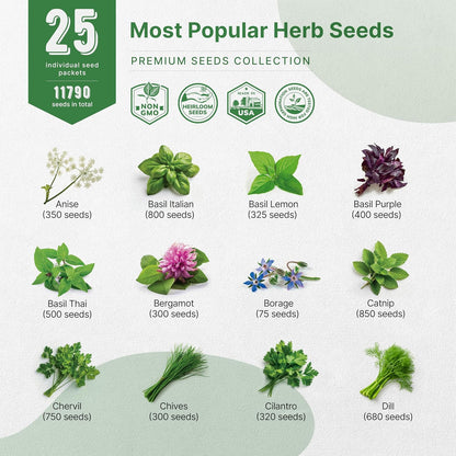 25 Most Popular Herb Seeds Variety Pack - 11,700 Non-GMO Heirloom Seeds for Planting Herbs in