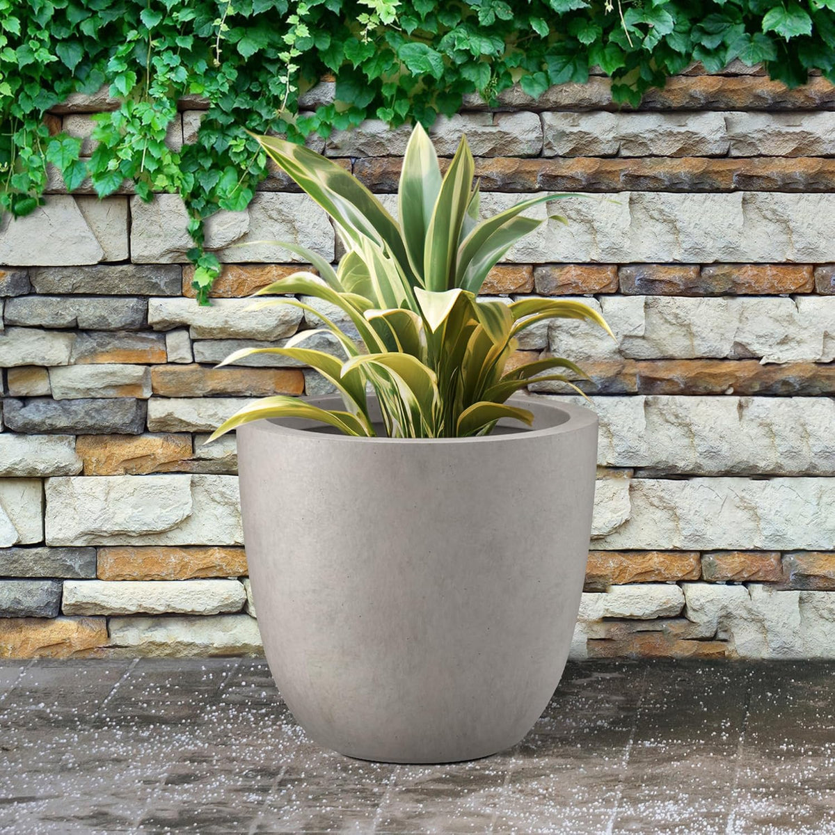 Kante 14 Inch Dia Round Concrete Planter, Indoor Outdoor Large Plant Pot with Drainage Hole and