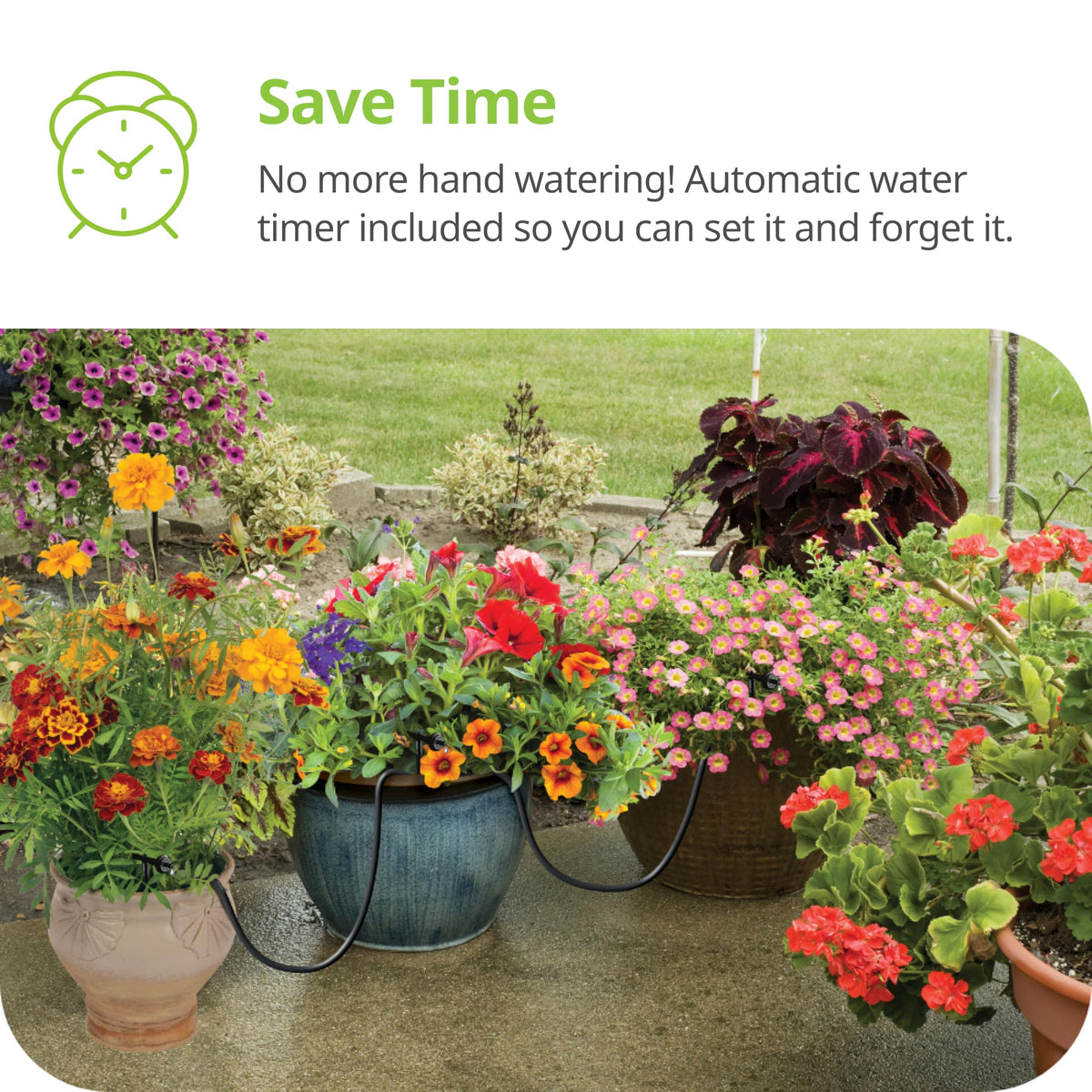 Raindrip R560DP Drip Watering System, Automatic Drip Irrigation System with Timer for Containers
