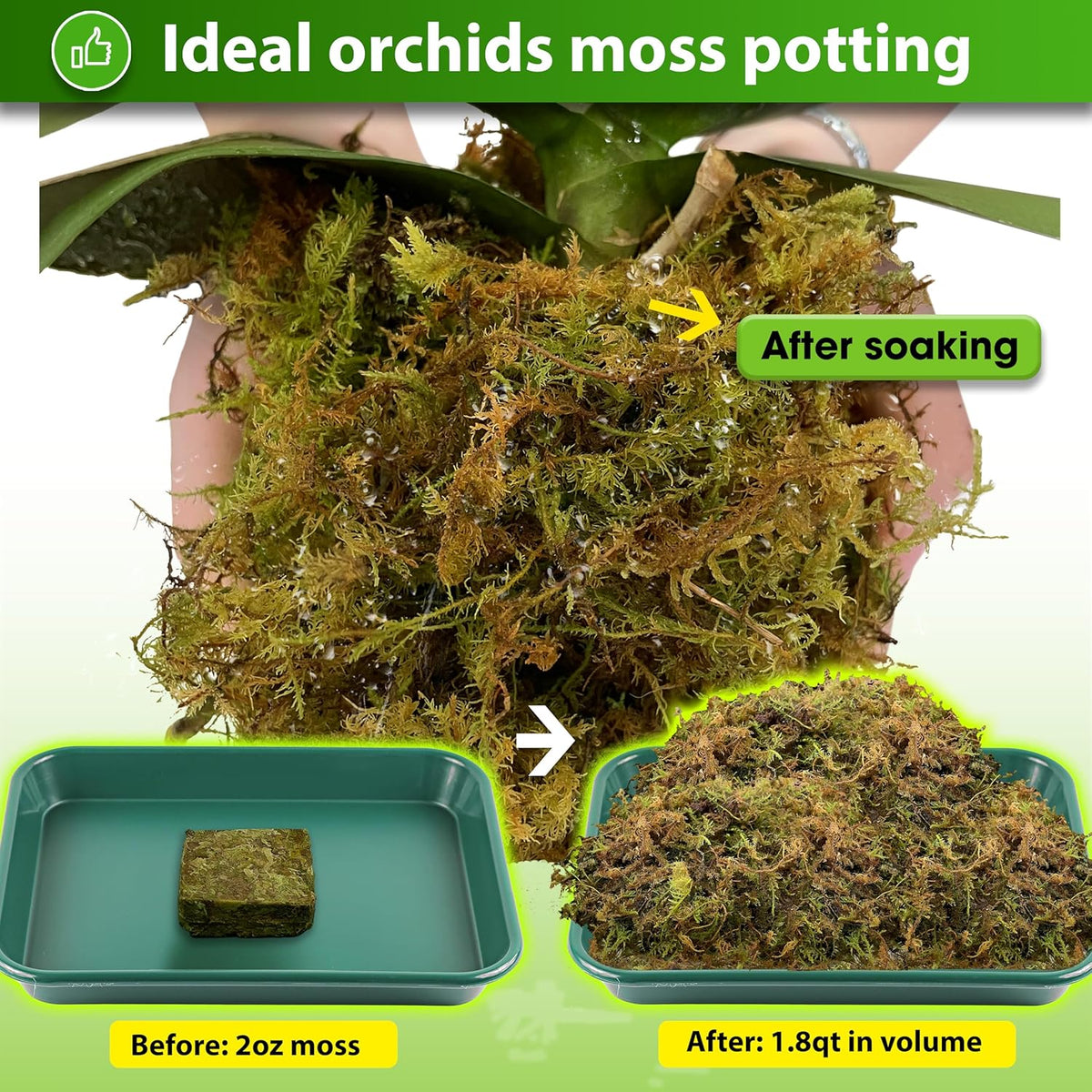 DUSPRO Dried Moss for Potted Plants, Forest Orchid Moss for Potting Mix, Sphagnum Potting Moss for