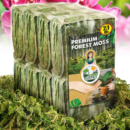 DUSPRO Dried Moss for Potted Plants, Forest Orchid Moss for Potting Mix, Sphagnum Potting Moss for
