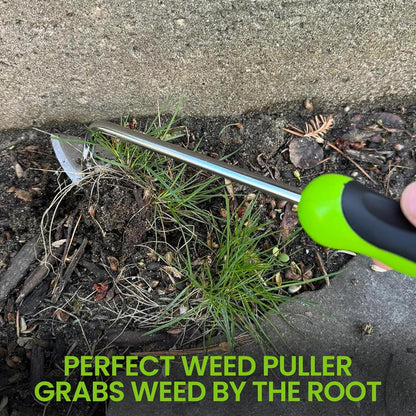 Garden Guru Root Weeder Tool with Ergonomic Handle - Stainless Steel Weed Puller for Planting