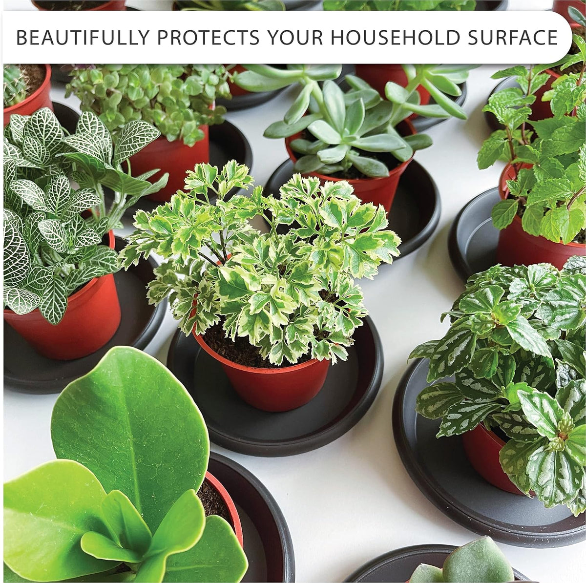 Plant Saucer 6 Pack Drip Trays Planter Pot Base Heavy Duty Plastic Drainage Tray for Indoor