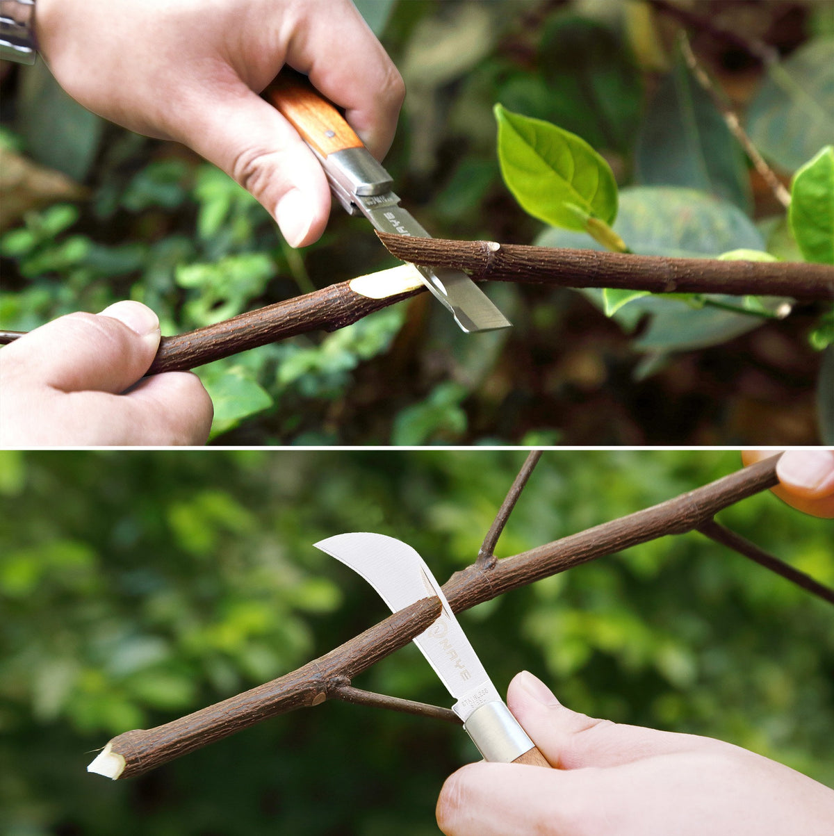 [6 Blades Enhanced] NAYE 2 in 1 Garden Grafting Tool Kit for Fruit Trees with Grafting Knife
