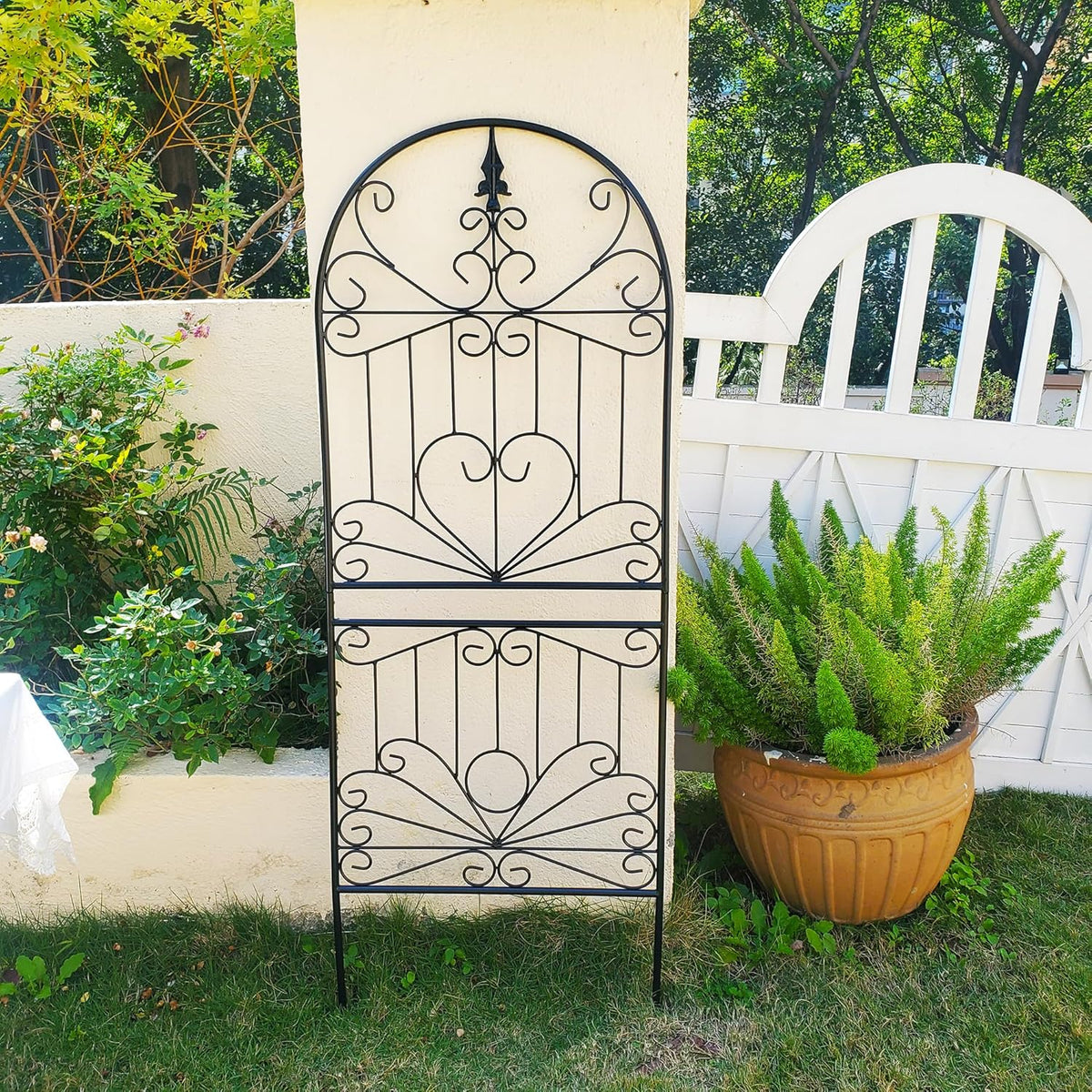 SCENDOR Heavy-Duty Metal Garden Trellis for Climbing Plants, 59" H x 22" W Rust-Proof Outdoor Plant