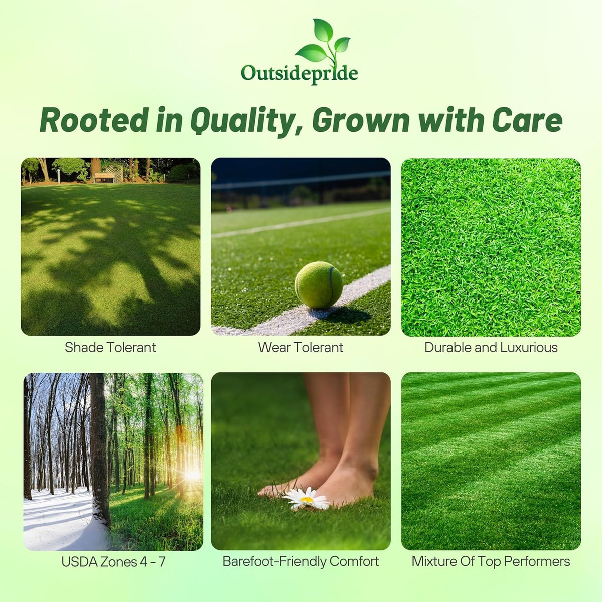 Outsidepride Showtime Perennial Lawn Grass Seed Mix - 25 lbs. Premium Blend of Creeping Red Fescue