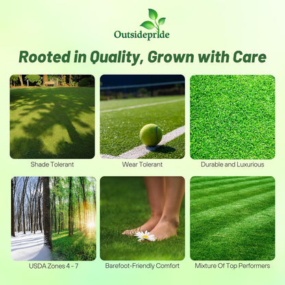 Outsidepride Showtime Perennial Lawn Grass Seed Mix - 25 lbs. Premium Blend of Creeping Red Fescue