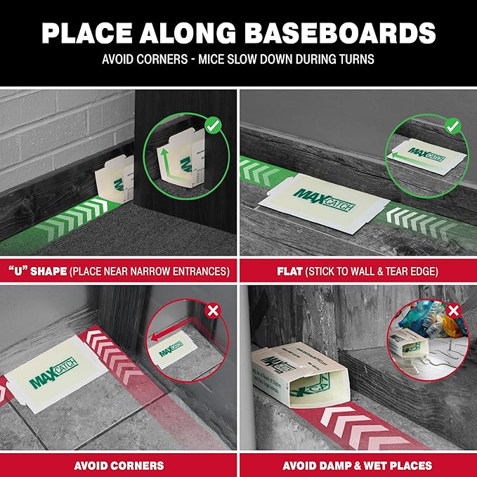 Catchmaster Max-Catch Mouse & Insect Glue Trap 72pk, Mouse Traps Indoor for Home, Sticky Pest