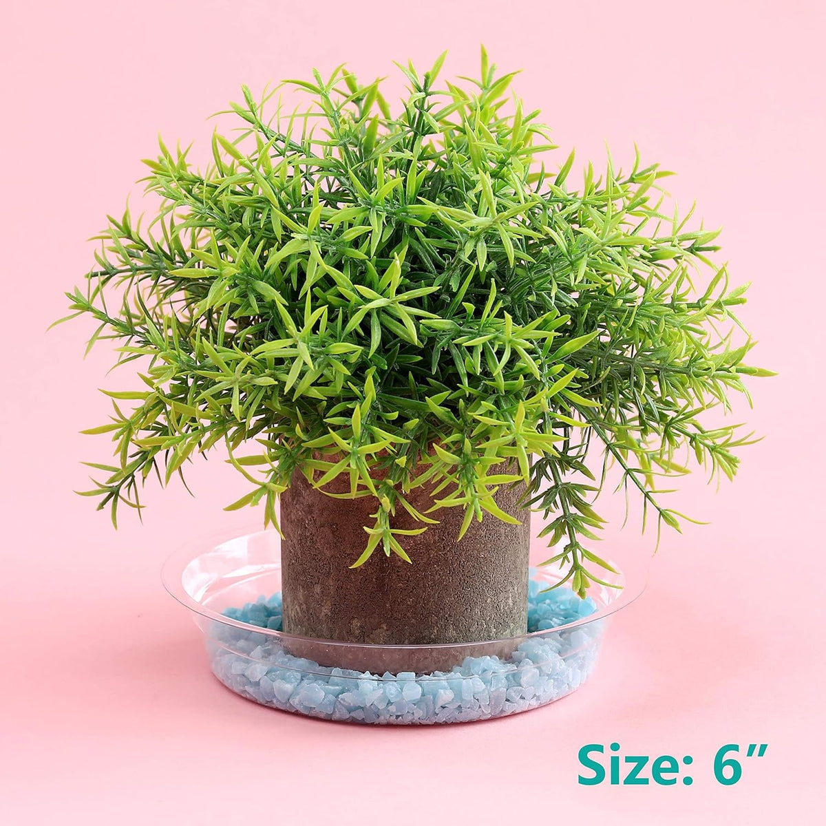 20 Pack 6 Inch Plant Saucers Clear Plastic Plant Saucer Drip Trays Small Plant Plate Dish for