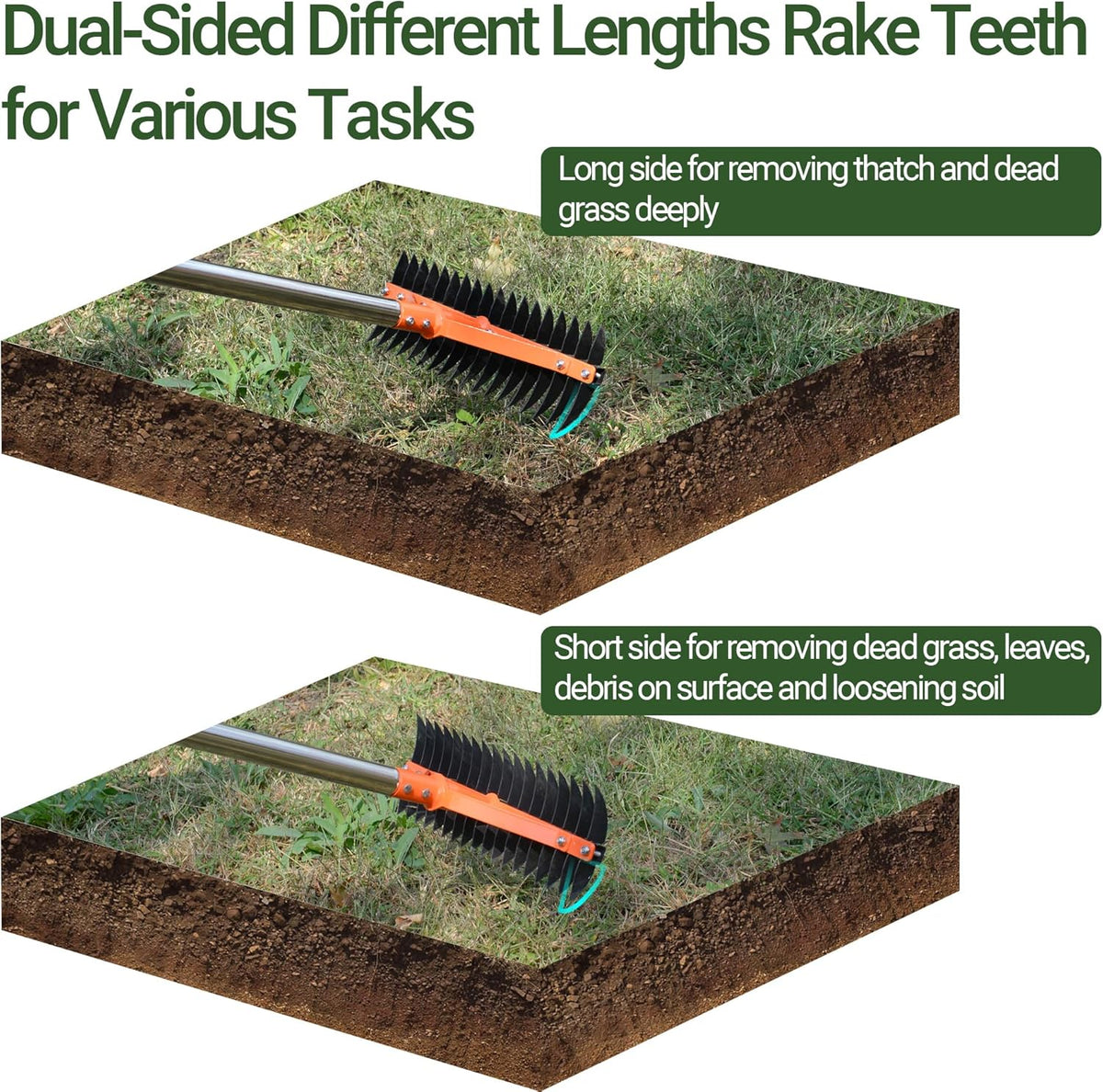 Thatch Rake for Lawns 18 Sharp Tempered Spring Steel Tines Dethatcher Rake Heavy Duty Dethatching