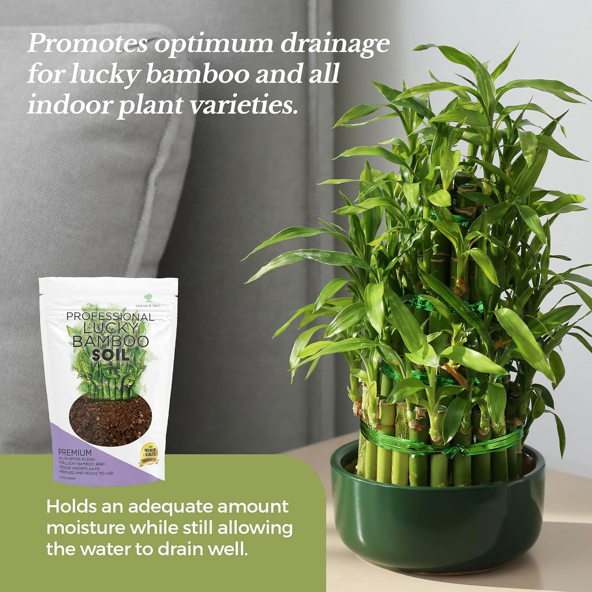 Professional Lucky Bamboo Soil | Large 2.2 Quarts Ready to Use for Lucky Bamboo Plants | Peat Moss