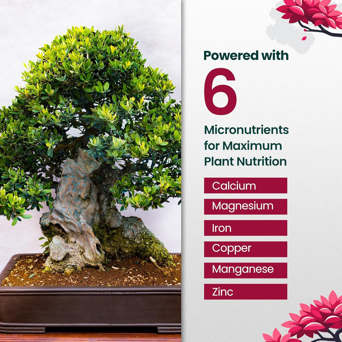 32oz Bonsai Tree Live Liquid Plant Food - Makes 64 Gallons of Bonsai Fertilizer Liquid, Premium