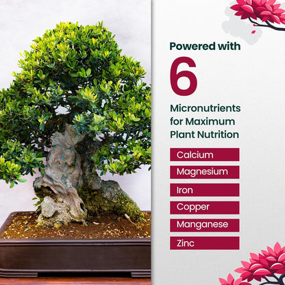 32oz Bonsai Tree Live Liquid Plant Food - Makes 64 Gallons of Bonsai Fertilizer Liquid, Premium