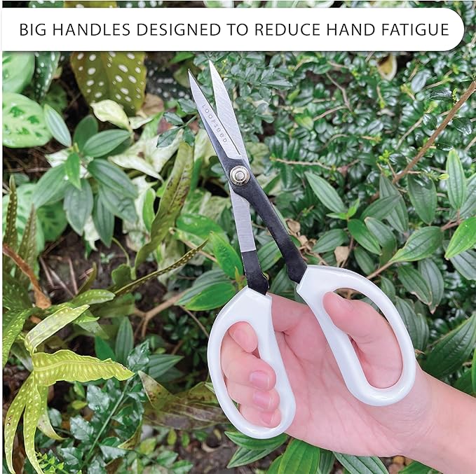 Precision Gardening Scissors Plant Trimming Pruning Shears Garden Pruners for Orchid Bonsai