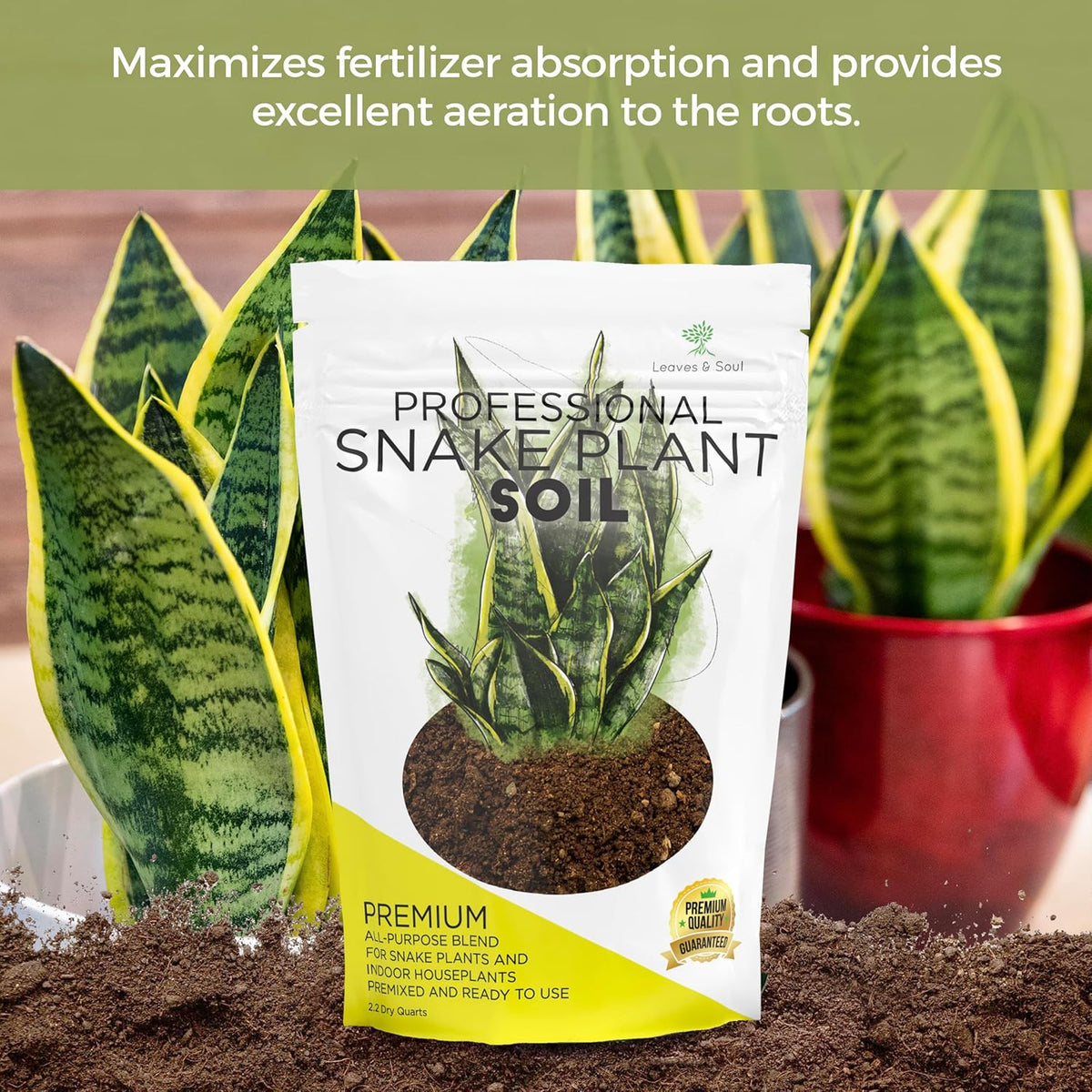 Professional Snake Plant Soil | Large 2.2 Quarts Ready to Use for Snake Plants | Peat Moss, Coco