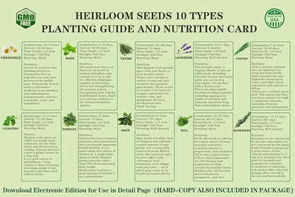 10 Herb Seeds Garden Starter Grow Kit with Green Pots, Markers, Nutritional Soil, Watering, Herb