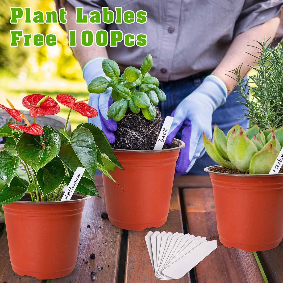 TDHDIKE 6 Inch Plastic Plant Nursery Pots (100pcs Pots and 100pcs Plant Labels) Seedling Flower
