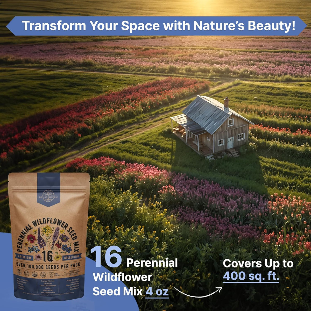 Organo Republic 16 Perennial Wildflower Seeds Mix for Indoor & Outdoors. 100,000+ Non-GMO, Heirloom