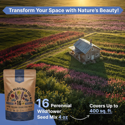 Organo Republic 16 Perennial Wildflower Seeds Mix for Indoor & Outdoors. 100,000+ Non-GMO, Heirloom